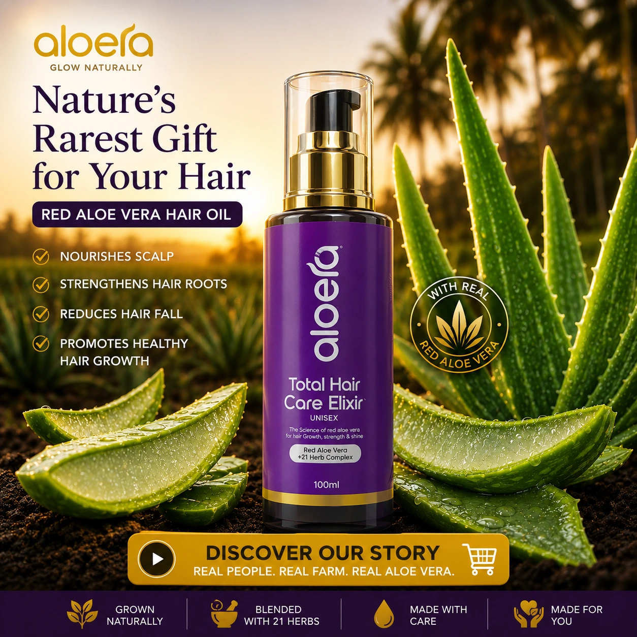 Aloera hair oil products